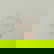 item-210004452=6