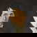 item-210004506=6
