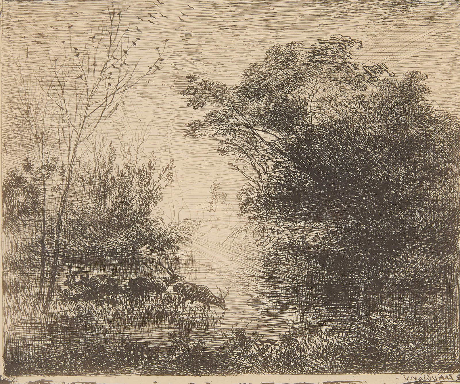 After Daubigny "Stags" Cliche-verre Print: After Charles-Francois Daubigny (French, 1817-1878). Cliche-verre on paper titled "Stags" depicting deer in a landscape. Original impression from 1862, printed in 1921. Signed in print in re