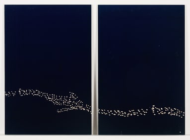 Rivane Neuenschwande C-Print on Aluminum Diptych