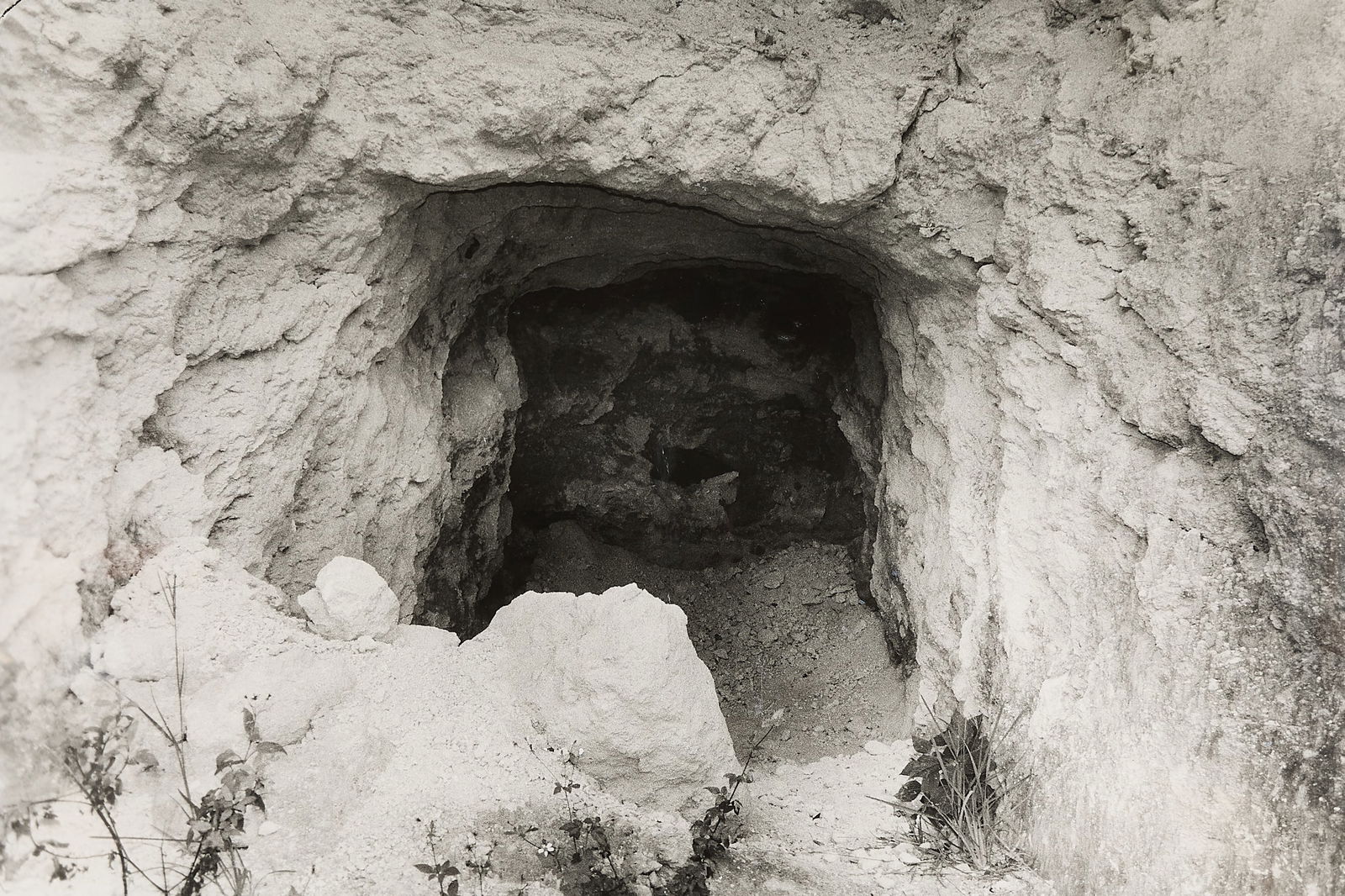 Los Carpinteros "Tuneles Populares" Photograph (1 of 5)