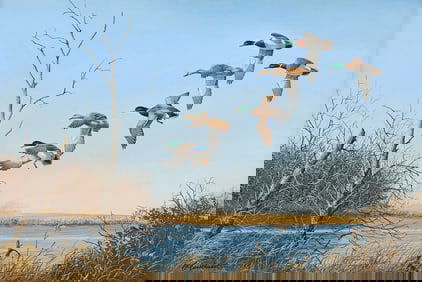 Richard Plasschaert Mallards Painting 1981