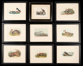 20 Audubon Octavo 1st Ed. Quads. & Birds Prints
