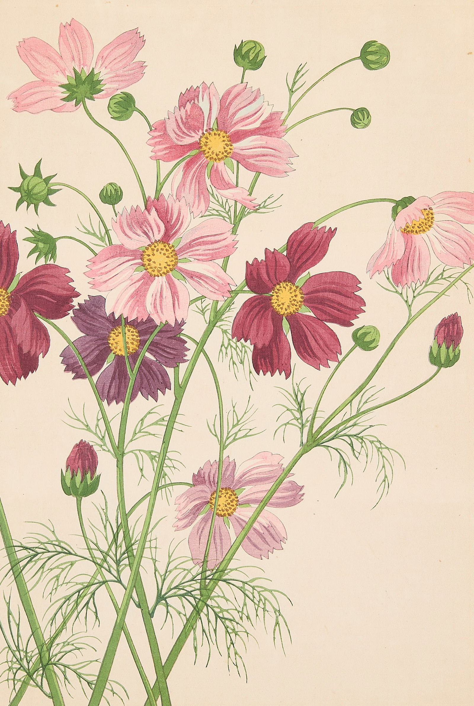 Hodo Nishimura "Cosmos" Kacho-e Woodblock (1 of 7)