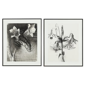 2 Mike Glier Lily Study Charcoal Drawings