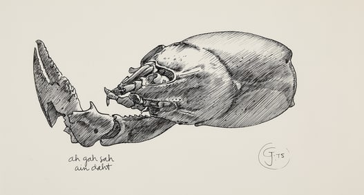 Gendron Jensen Lobster Ink Drawing