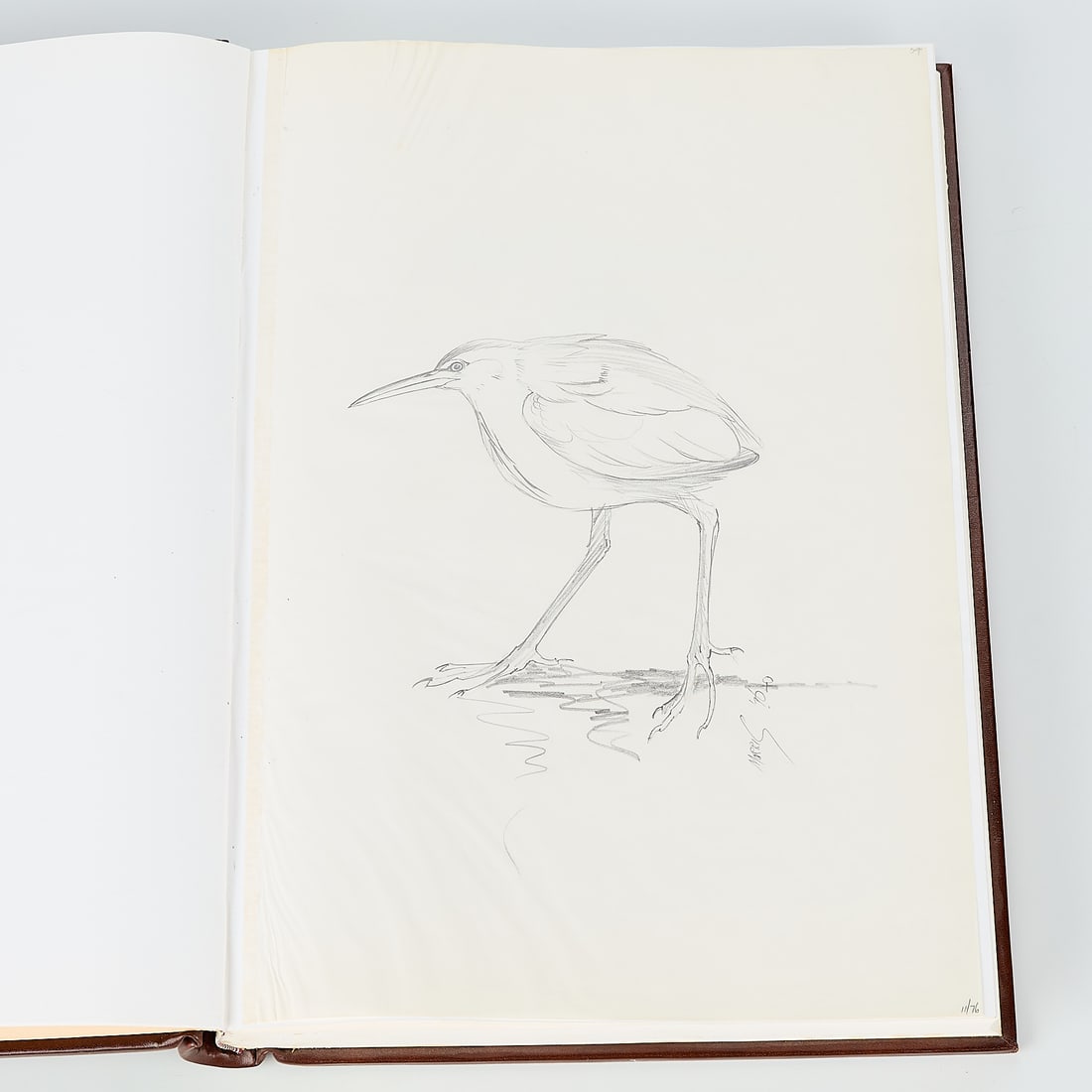 Frank T. Morris Bird Drawing w/ Book 1978: Frank T. Morris (Australian, 1936-2021). Graphite on paper drawing depicting a bird, 1978. Signed near the lower right of the bird and dated along the lower right corner. Included in the following