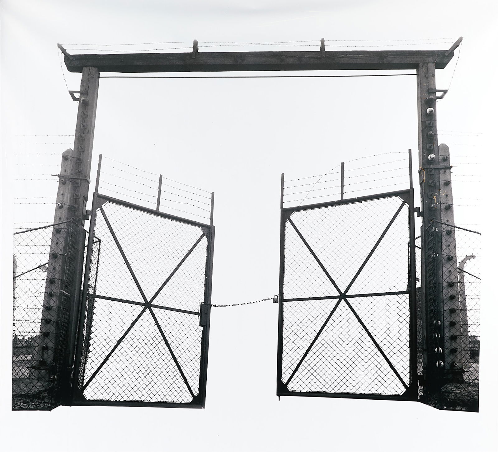 Casey McKee "Barbed Gate" Film Negative (1 of 8)