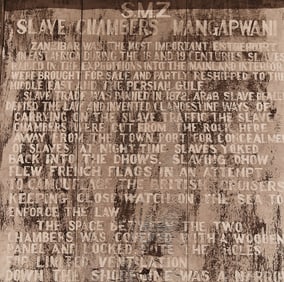 Lynn Davis "Slave Chambers" Photo 1999