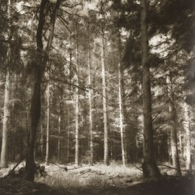 Lynn Geesaman "Westerstede, Germany" GSP 1993