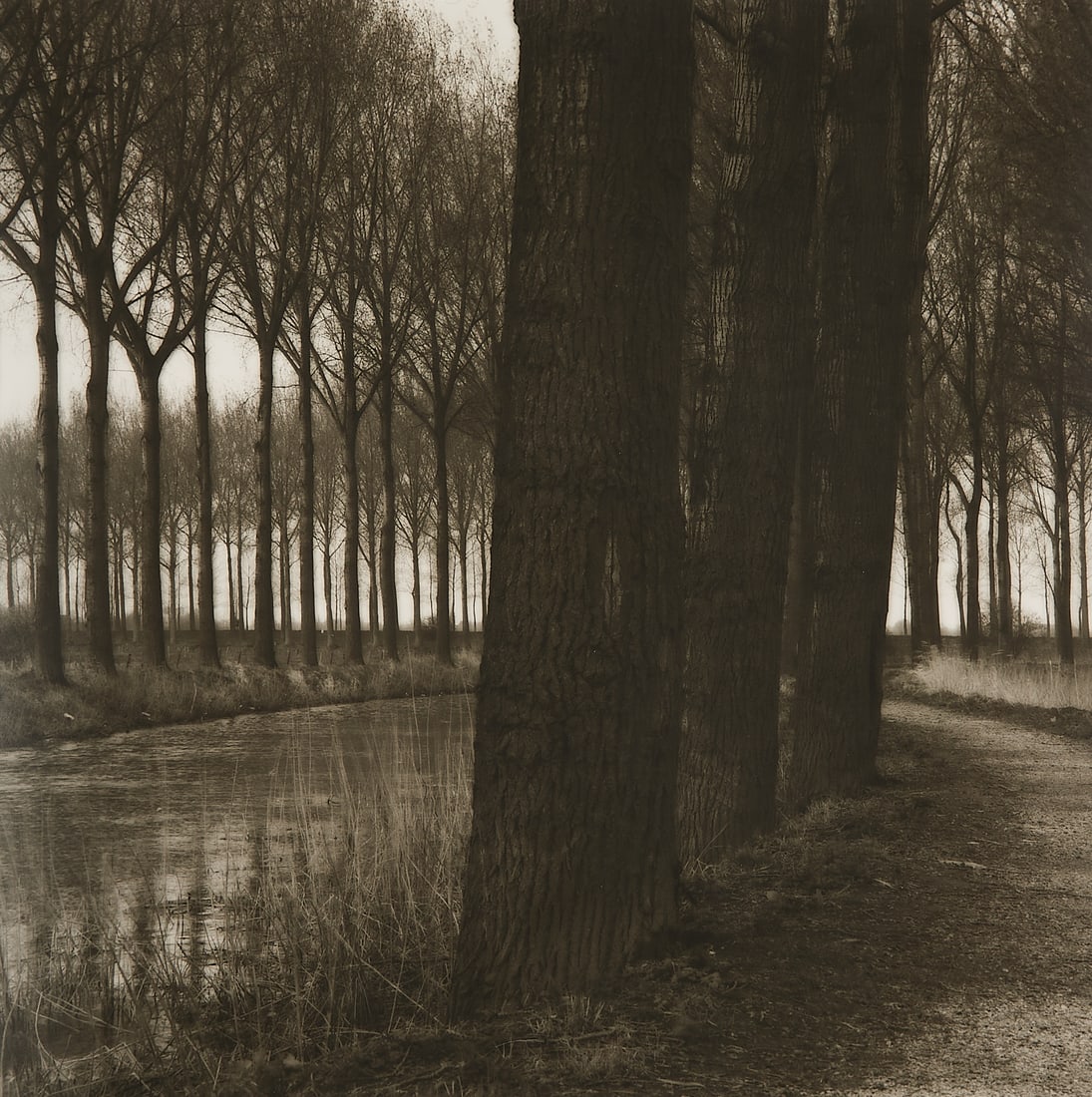 Lynn Geesaman "Domme, Belgium" GSP 1992 (1 of 4)