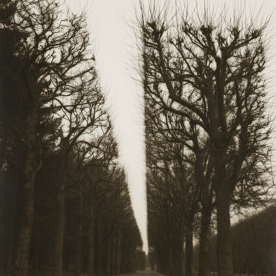 Lynn Geesaman "Parc de Sceaux France" GSP 1992: Lynn Geesaman (American, 1938-2020). Gelatin silver print photograph titled "Parc de Sceaux France" depicting a trail flanked by towering trees, 1992. Pencil signed, dated, and titled along the verso.