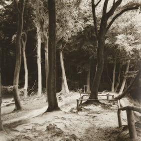 Lynn Geesaman "Jasmund Forest" GSP 1993