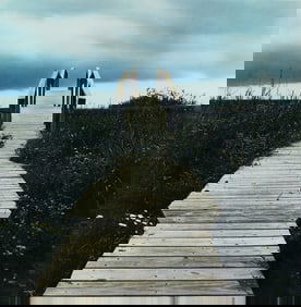 Ann Stautberg "Sea Isle Bridge, Galveston" 2000