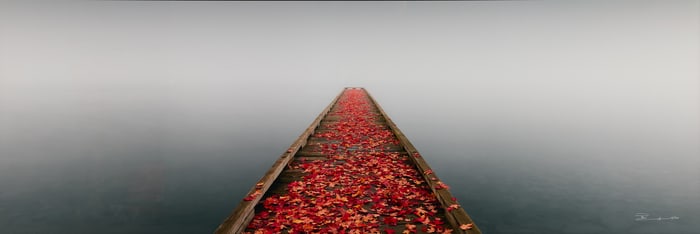 Peter Lik "Secret Morning" Photograph