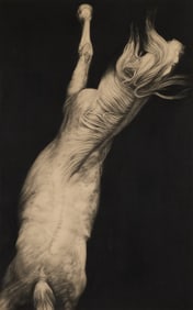 Joseph Piccillo "Study" Charcoal Drawing 1981