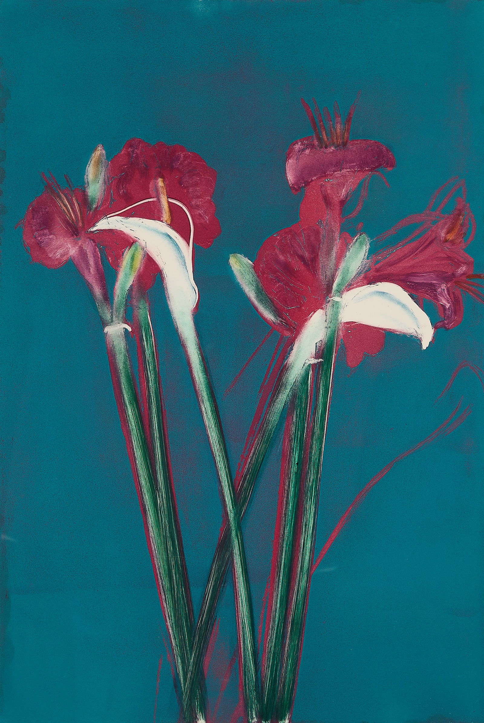 Michael Mazur "Amaryllis/Calla I" Monotype 1982: Michael Mazur (American, 1935-2009). Monoprint with etching, aquatint and monotype on paper titled "Amaryllis/Calla I," 1982. Depicting several richly rendered crimson amaryllis flowers juxtaposed wit