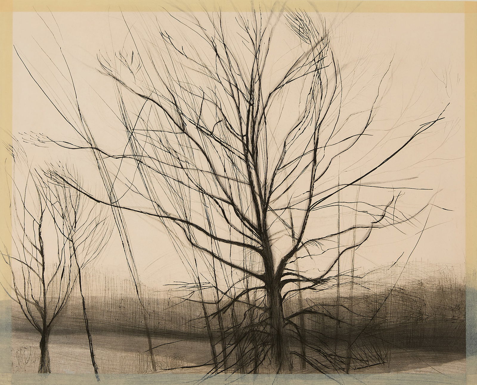 Sylvia Plimack Mangold "Pin Oak at the Pond" Print (1 of 7)