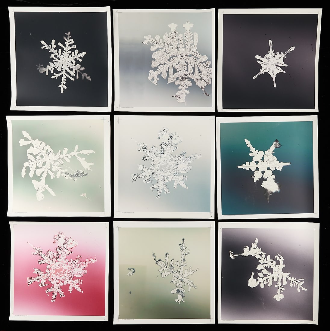 Starn Twins "Alleverythingthatisyou" Suite: Doug & Mike Starn "The Starn Twins" (American, b. 1961). Group of 26 matte laminated Lambda digital C-prints of Fujiflex paper titled "Alleverythingthatisyou," 2006. Catalog is pencil signed and numbe