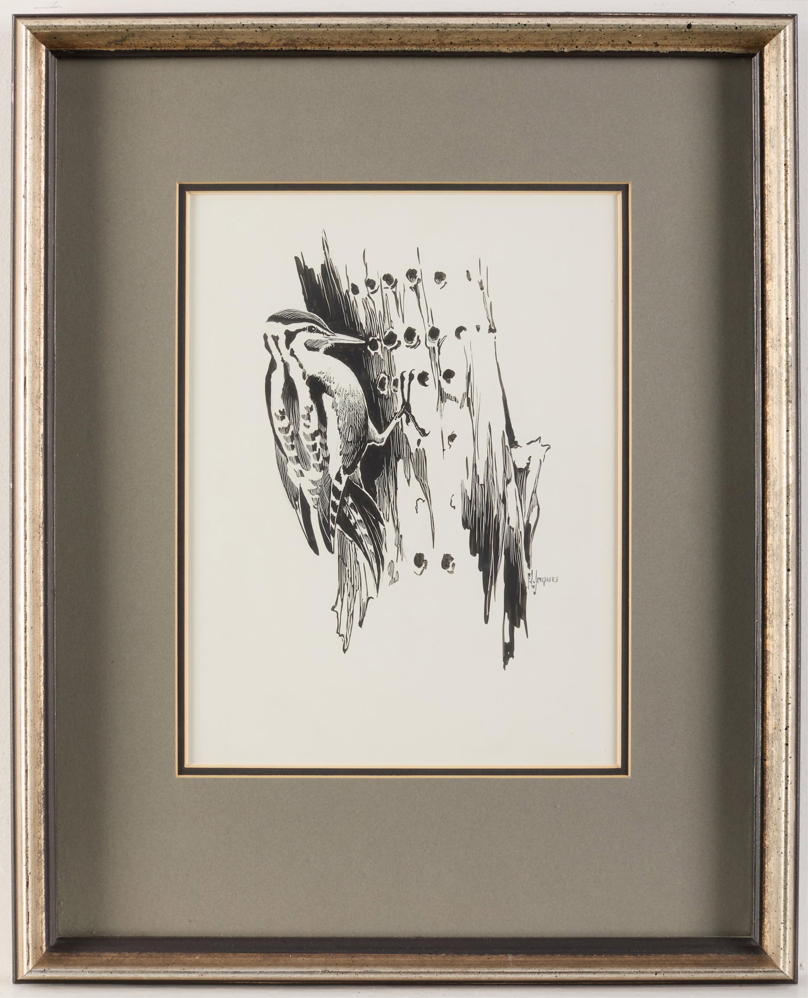 Francis Lee Jaques Woodpecker Scratchboard: Francis Lee Jaques (American, 1887-1969). Scratchboard drawing on paper depicting a woodpecker along the side of a tree. Ink signed along the lower right. Provenance: Gifted from the artist; Private M