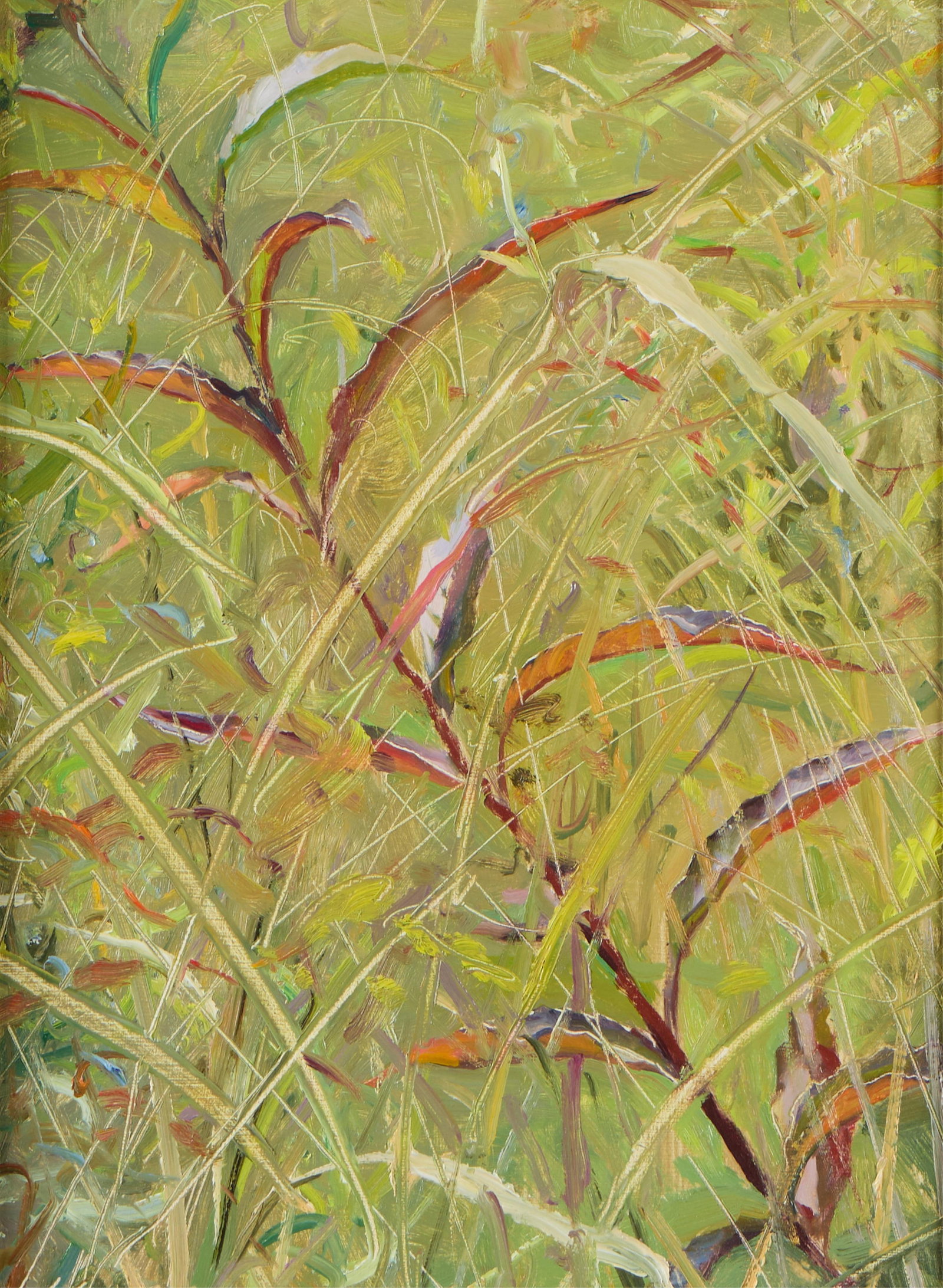 Prairie Grasses Oil Painting 1997 - Signed: Signed oil on board impressionist painting of prairie grasses, 1997. Depicting an intimate view of wild greenery, filled with various types of tall grass in shades of green, yellow, and purple. Possib