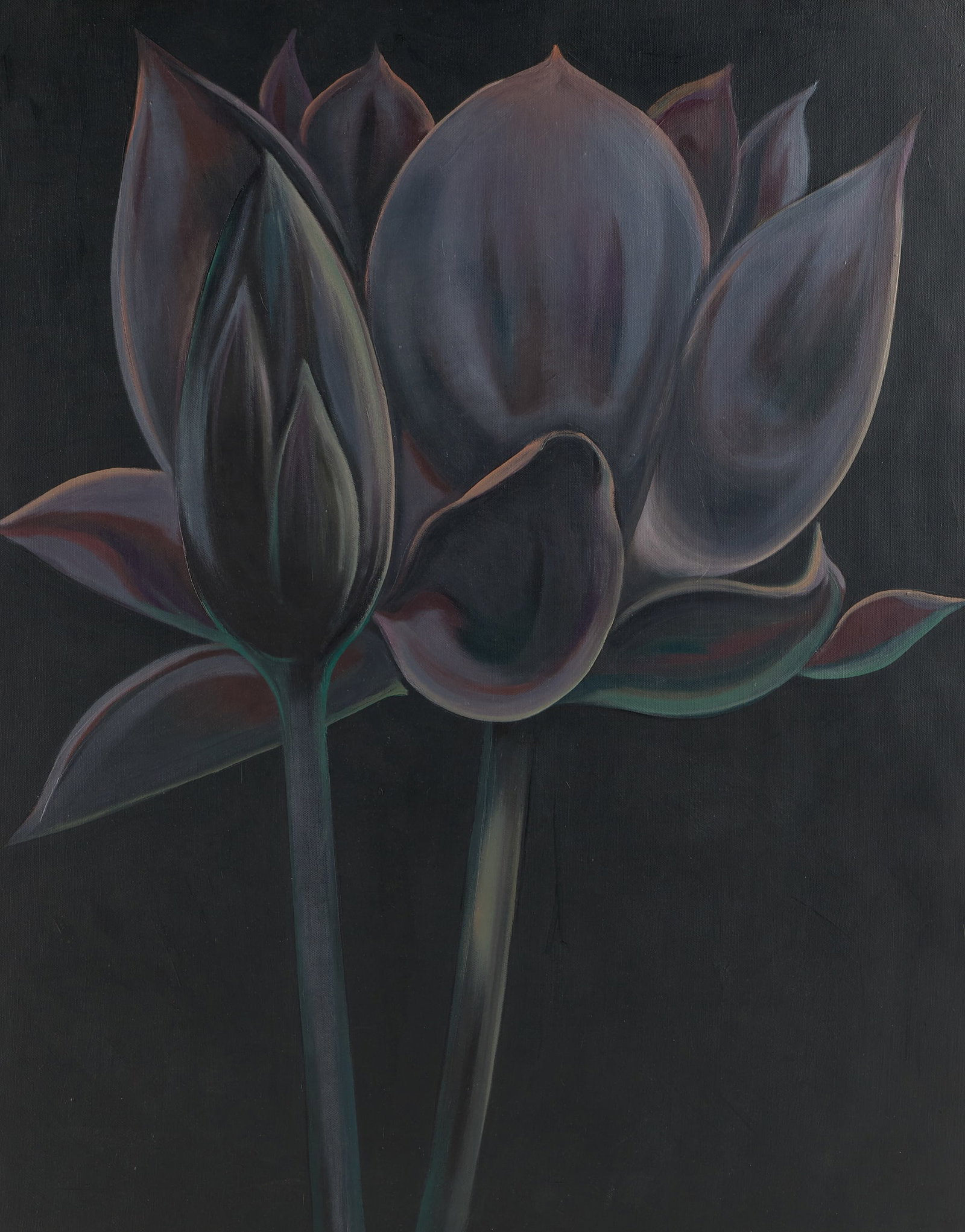 Lowell Nesbitt "Nocturnal Lotus" Painting 1981: Lowell Nesbitt (American, 1933-1993). Oil on canvas painting titled "Nocturnal Lotus," 1981. Depicting a blue-hued flower with flame-like petals against a bold black background. Signed, titled, dated,