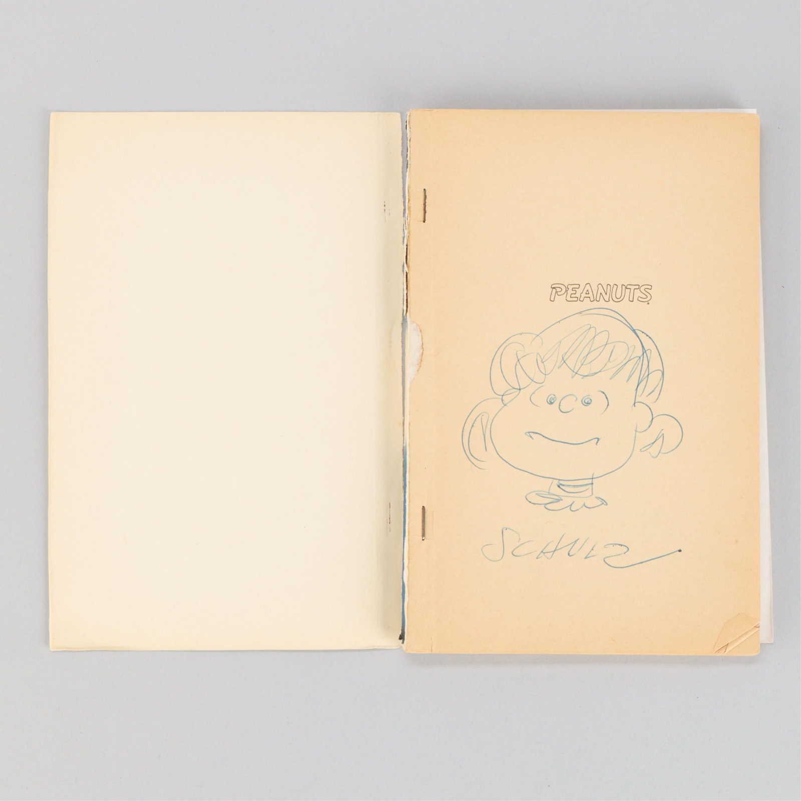 Charles Schulz Lucy Drawing in Peanuts Book (1 of 6)