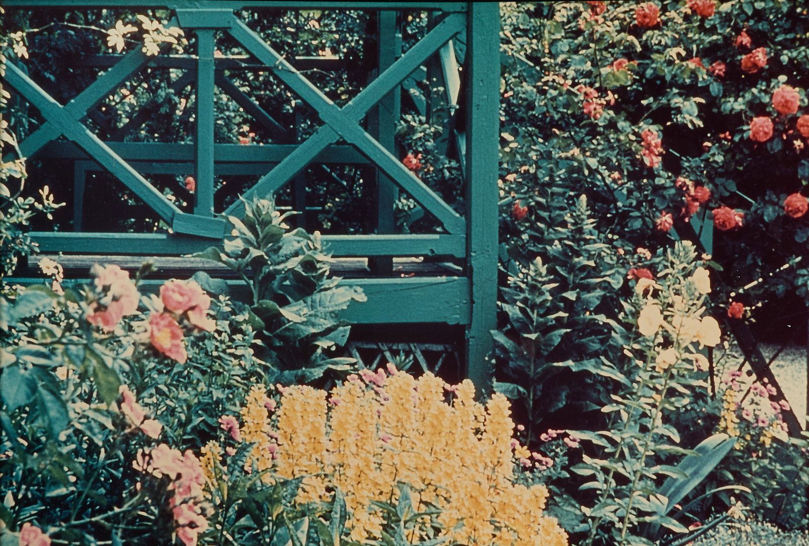 Alexander Liberman "Monet's Garden" Ektacolor 1954: Alexander Liberman (American, 1912-1999). Ektacolor photograph on resin coated (RC) paper titled "Monet's Garden at Giverny," 1954. Depicting a lush garden, replete with blooming flowers and verdant f