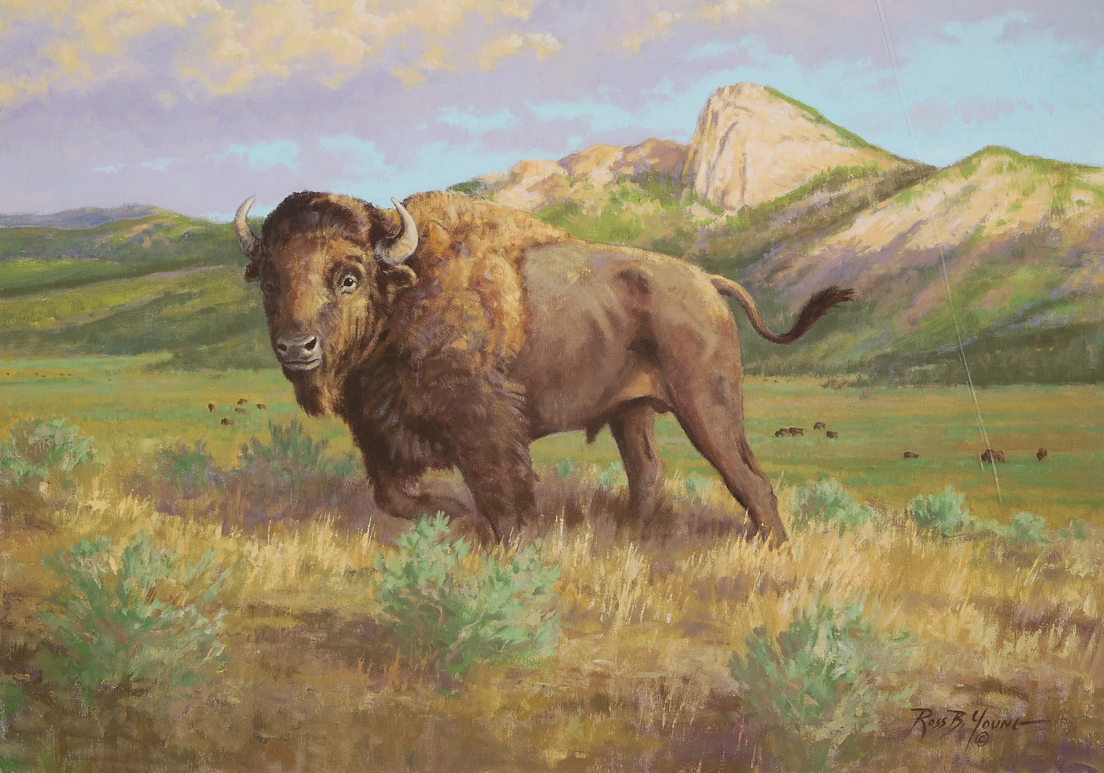 Ross B. Young "A Place of Time" Lithograph: Ross B. Young (American, b. 1955). Lithograph print on paper titled "A Place of Time." Depicting a powerful bull bison in a grassy field. Pencil signed along the lower right, and numbered 144/200 alon
