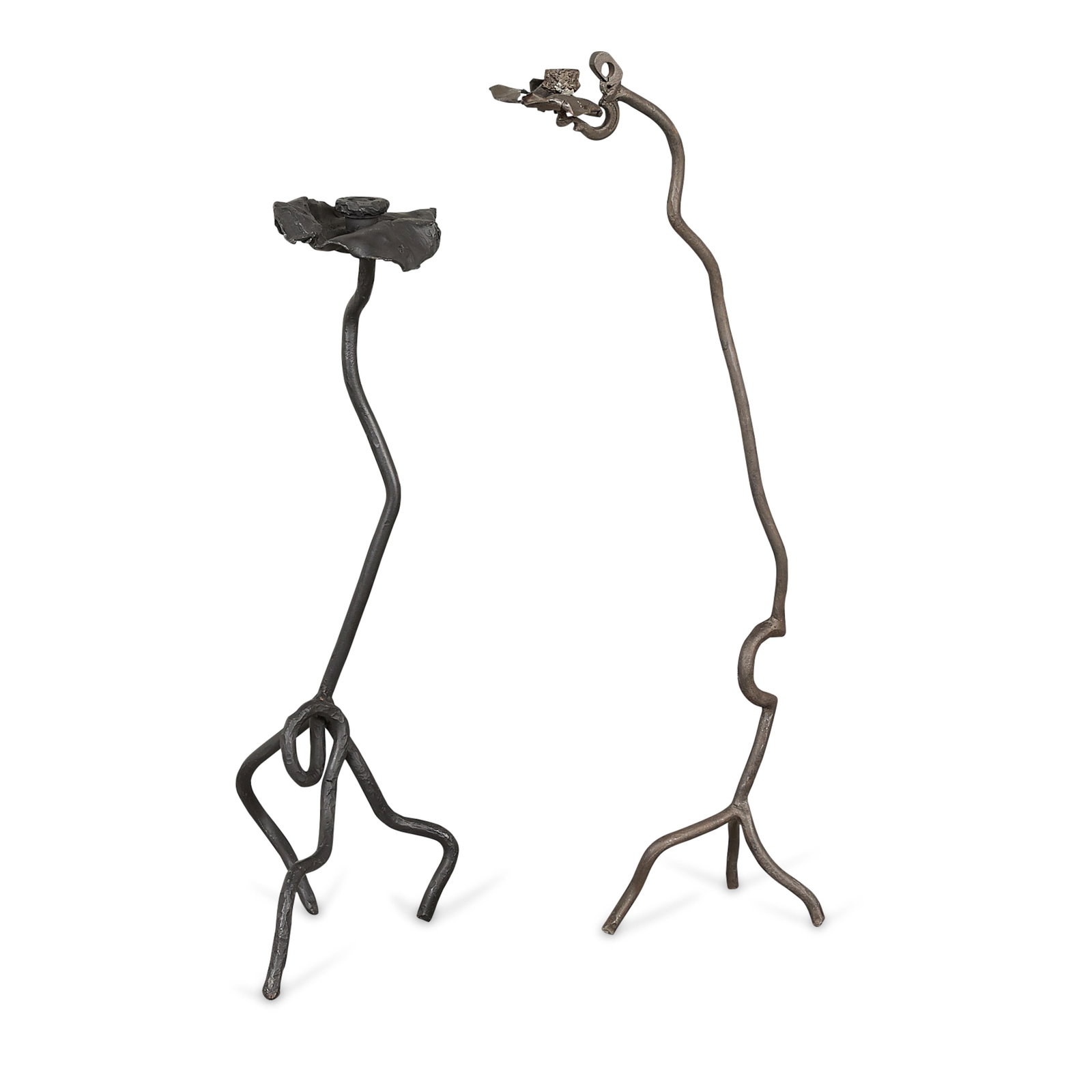 2 Felipe R. Luque Mangrove Candelabras (1 of 4)