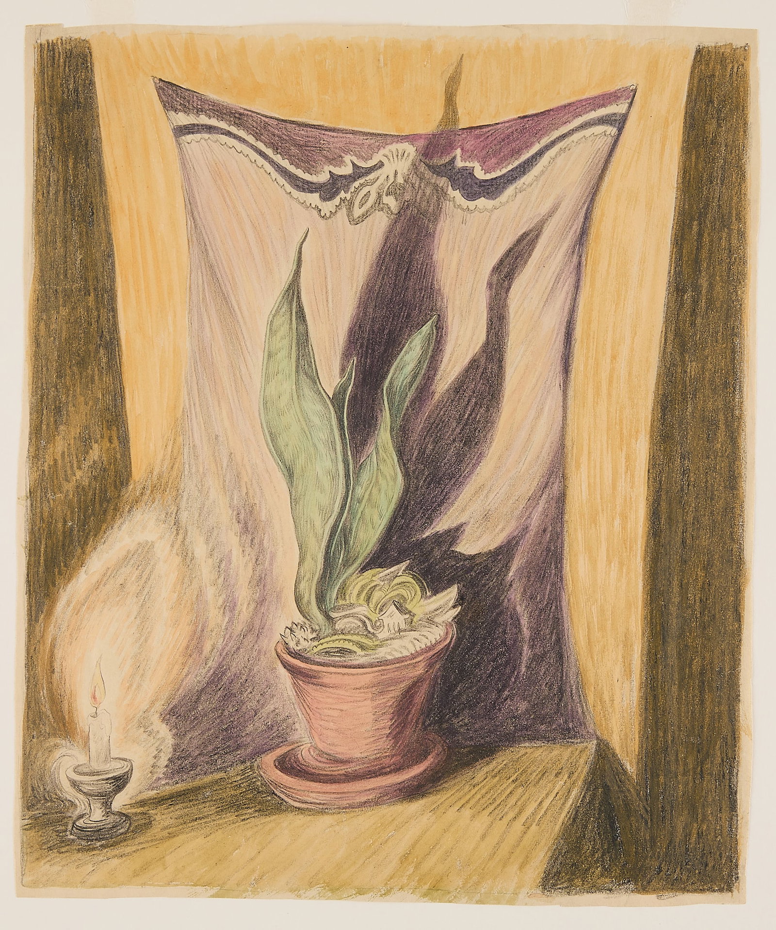 Wanda Gag "Snake Plant" Colored Pencil Drawing: Wanda Gag (American, 1893-1946). Colored pencil and graphite on paper still life drawing titled "Snake Plant." Depicting a candlelit snake plant casting dramatic foliage shadows against the fabric cur