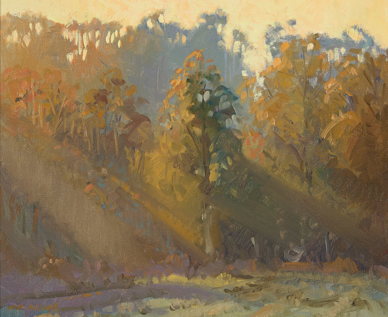 Meredith Brooks Abbott "Evening Fog" Painting 1990: Meredith Brooks Abbot (American, b. 1938). Oil on canvas landscape painting titled "Evening Fog, Rincon Canyon," 1990. Depicting a dense, impressionistic forest with soft, glowing light breaking throu