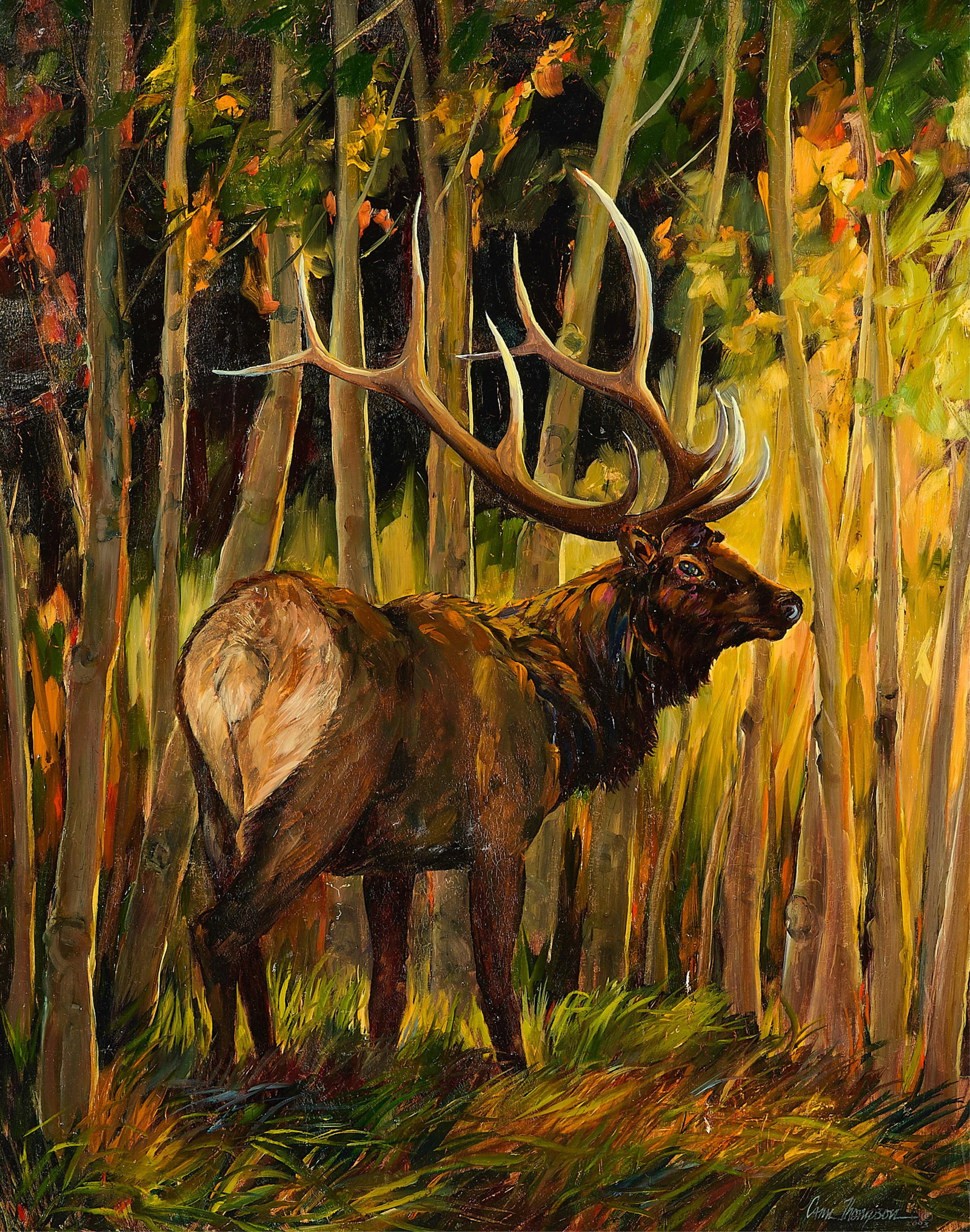 Cami Thompson "Wapati - American Elk" Oil Painting (1 of 5)