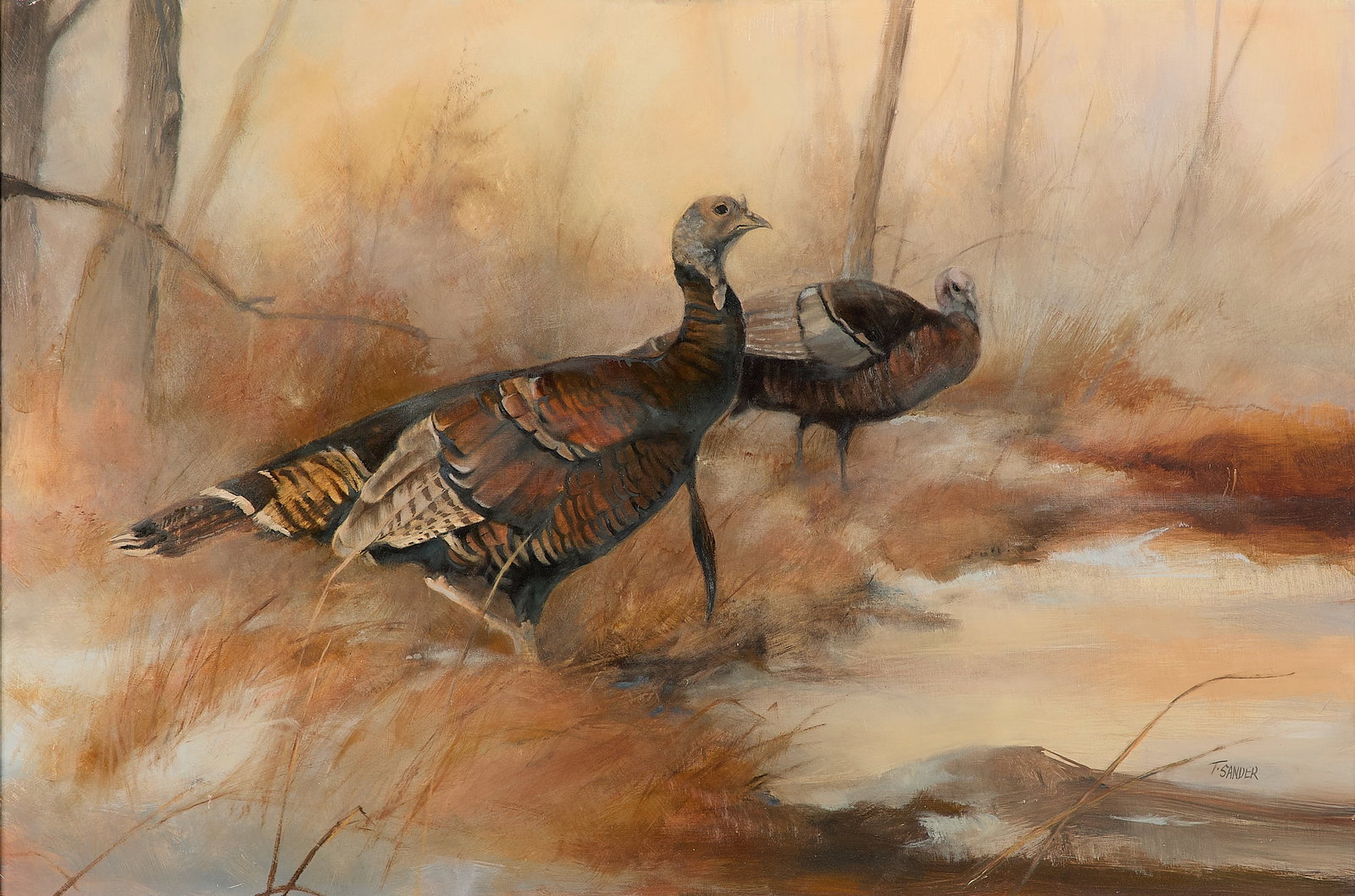 Tom Sander "Wild Turkeys" Wildlife Oil Painting (1 of 5)
