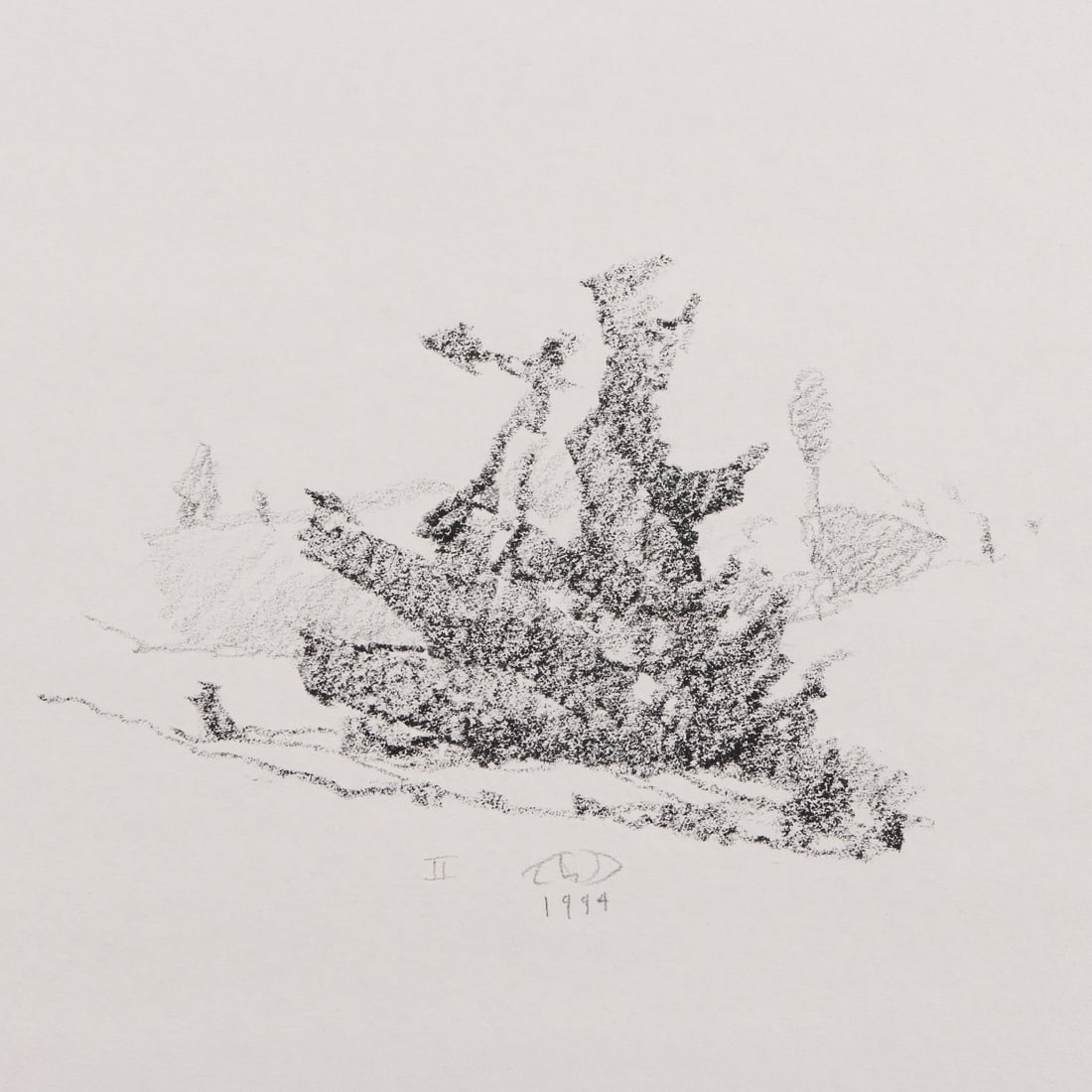 Russell Chatham Landscape Drawing 1994: Russell Chatham (American, 1939-2019). Charcoal and graphite landscape drawing on paper, 1994. Depicting a dense, cross-hatched bush along the center inviting a sense of texture and tactility within t