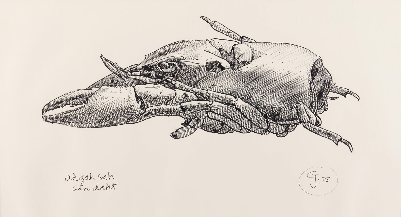 Gendron Jensen Lobster Ink Drawing 1975: Gendron Jensen (American, 1939-2019). Ink on paper drawing depicting the punctured exoskeleton of a crustacean, likely a lobster or crayfish, 1975. Initialed and dated along the lower right; inscribed