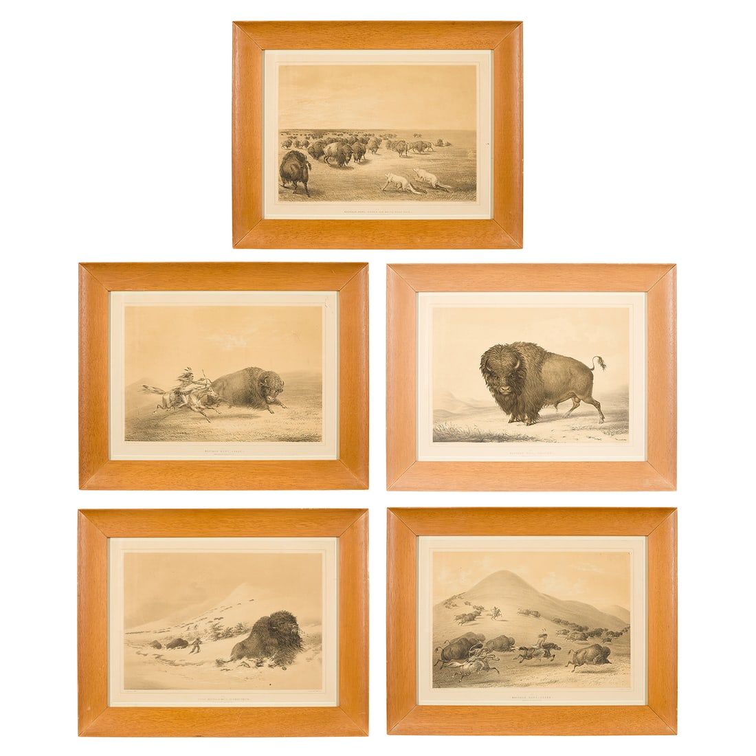 5 George Catlin Buffalo Wildlife Lithographs (1 of 11)