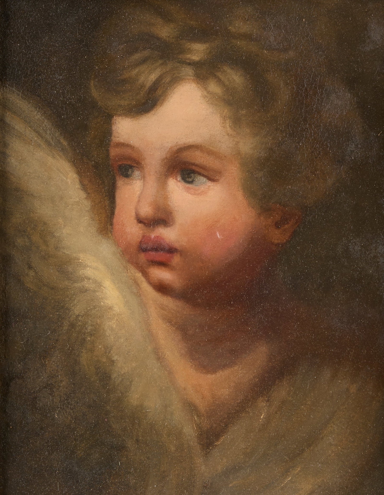 Old Master Cherub Portrait Oil Painting: Old Master oil on canvas painting depicting a cherub or putti figure. With a residual auction tag along the verso. Unframed; height: 18 3/4 in x width: 14 1/2 in. Framed; height: 23 in x width: 19 1/2