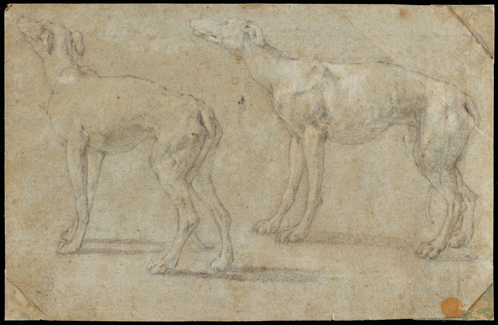 Attr. Paolo Veronese Greyhounds Graphite Drawing (1 of 9)