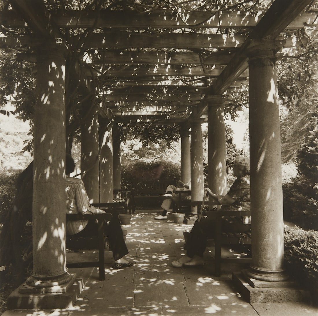 Lynn Geesaman B&W Garden Pergola Photograph (1 of 3)