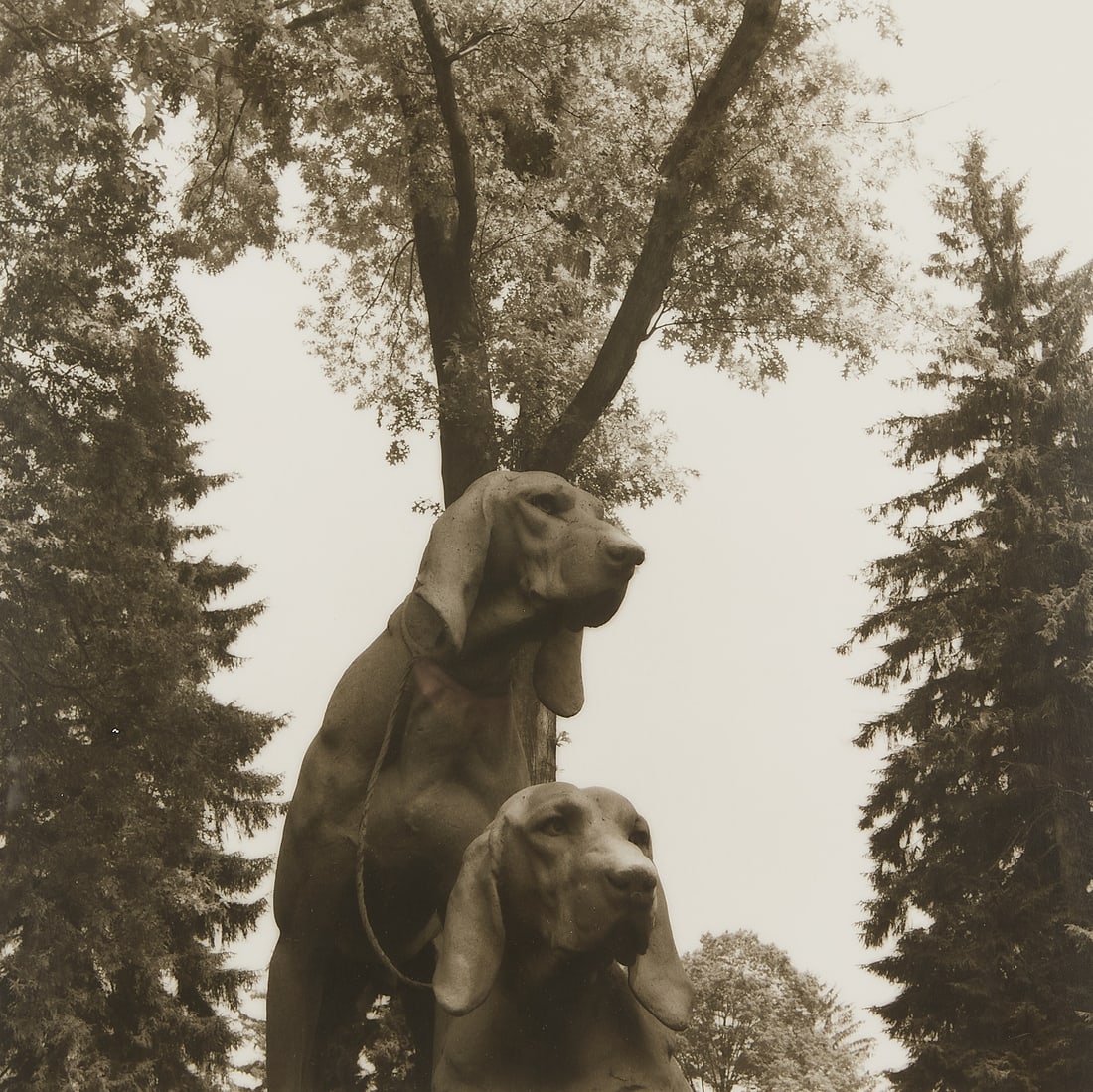 Lynn Geesaman Two Dog Statues B&W Photograph (1 of 3)