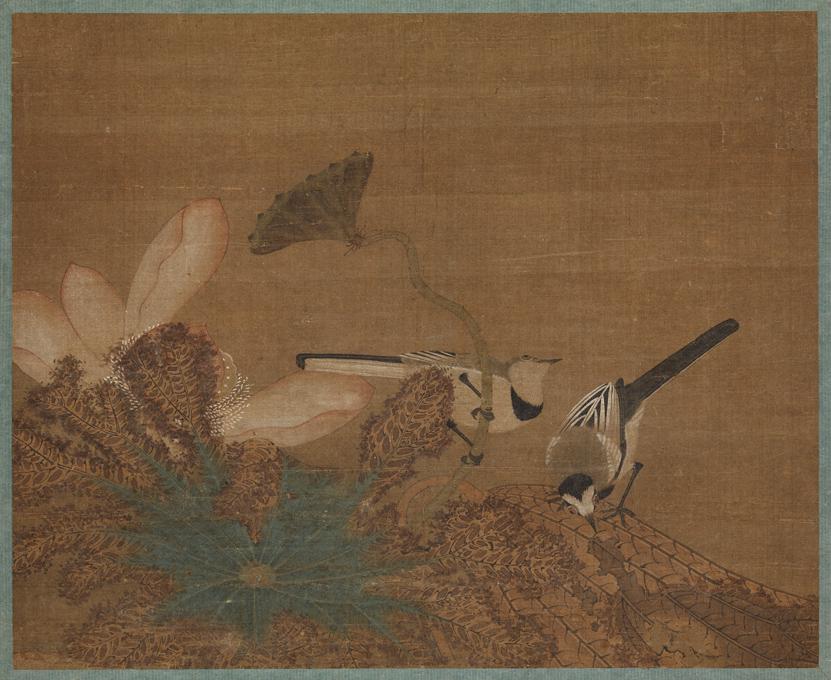 Ming dynasty bird painting by Wang Yuan: Ming dynasty bird painting by Wang YuanSize: Length 36*Width 44cm