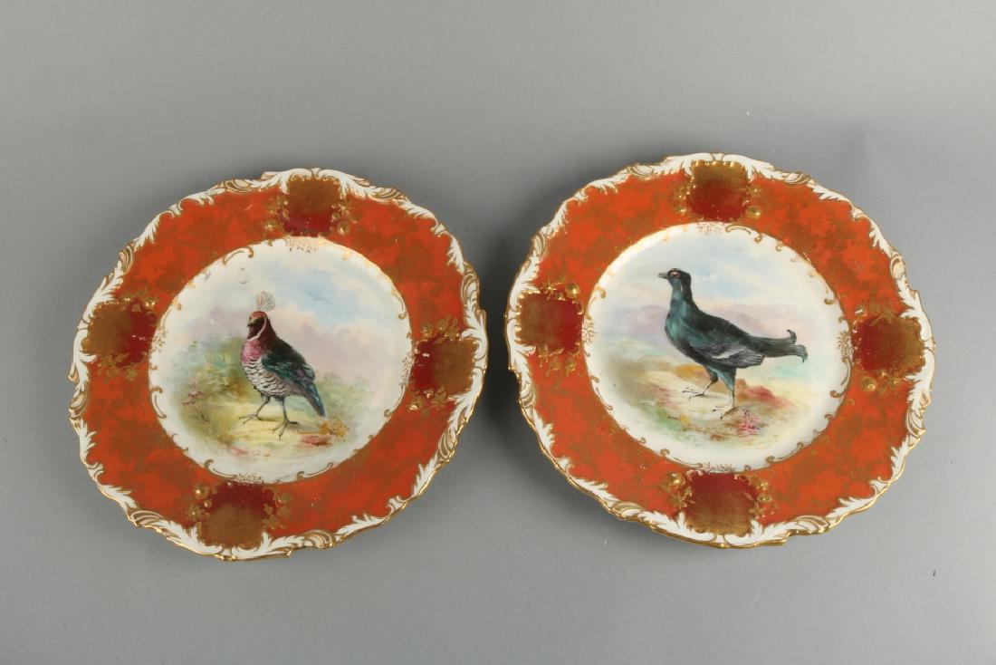 A Pair English Hand Painted Plate with Bird (1 of 5)