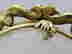 item-133996744=4