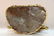 A chinese bronze gilding buddha statue - 11