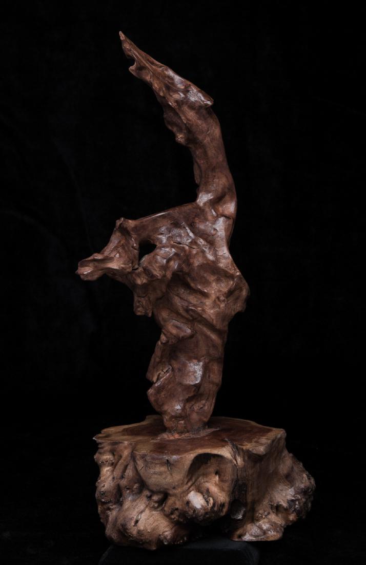 Old tree root decoration (1 of 2)