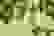 item-71244148=6
