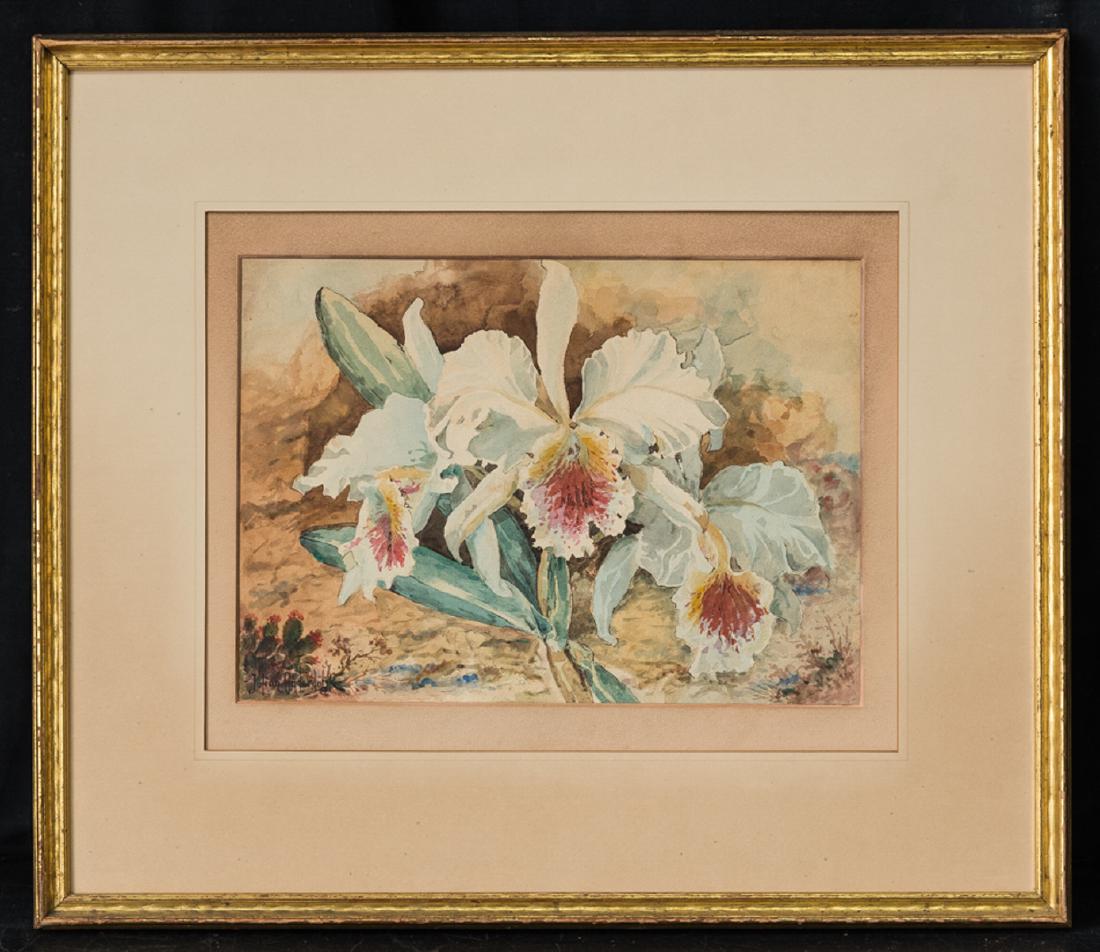 Julian Onderdonk (1882 - 1922) Texas Artist Watercolor (1 of 10)