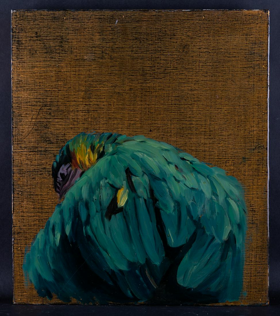 Figurative Original Oil Painting "Parrot" (1 of 6)