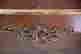 item-134948345=9